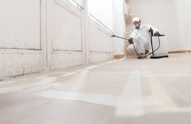 24/7 Emergency Black Mold Remediation experts in Mount Juliet, TN